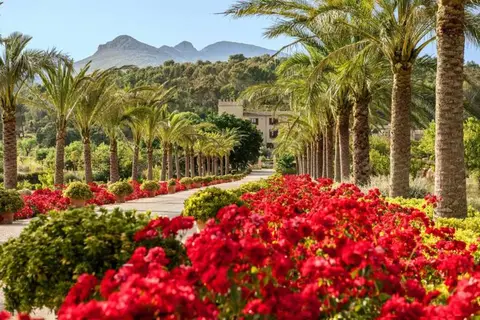 Hotel Cala Sant Vicenç in Pollença — foto 23