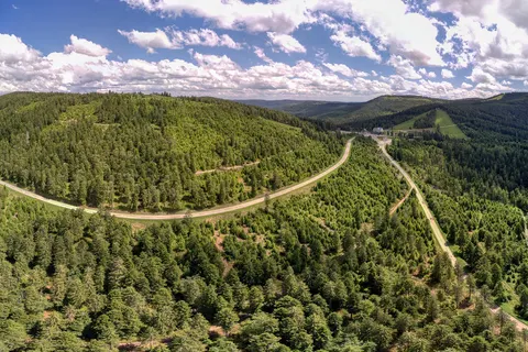 Ontdek het Zwarte Woud in stijl vanuit Triberg foto 3
