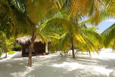 Filitheyo Island Resort in Filitheyo — foto 6