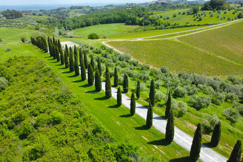Tenuta Castellare di Tonda in Montaione — foto 8