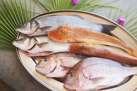 Village Il Cicero foto 20