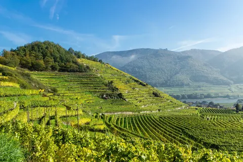 Oostenrijks stedenavontuur foto 13