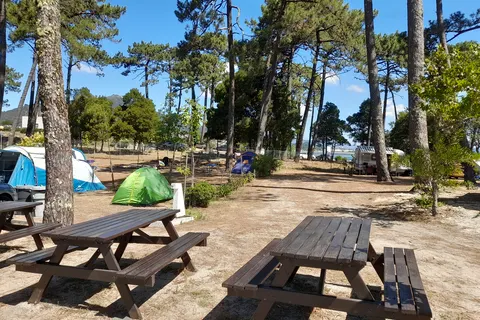 Camping Caminha foto 5