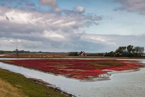 Aparthotel Zoutelande foto 10