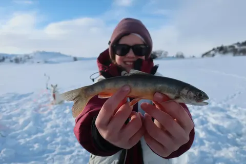 Ontdek het winteravontuur vanuit Geilo foto 11