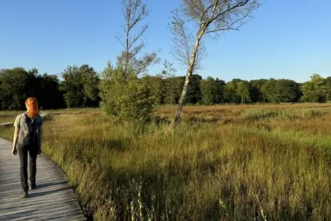 Witte Berken Natuurhotel in Epe — foto 62