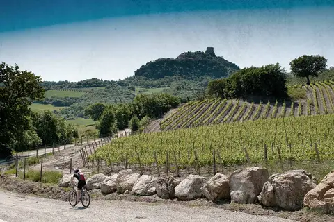 Luxor Chianti Glamping Village in Castellina in Chianti — foto 8