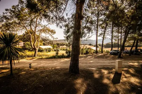 Olva in Sartène — foto 23