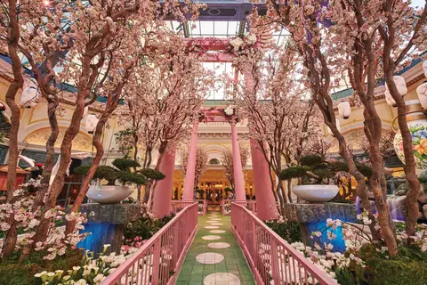 Hotel Bellagio in Paradise — foto 15