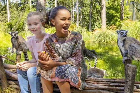 Hotel Ernst Sillem Hoeve foto 23