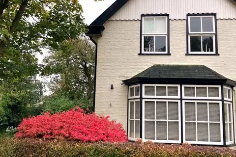 B&B Kunstkamer Franeker foto 23