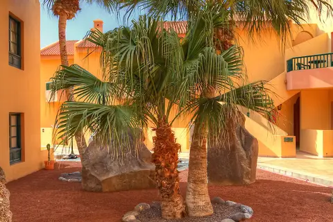 Complejo Las Tres Palmeras in Valle Gran Rey — foto 20