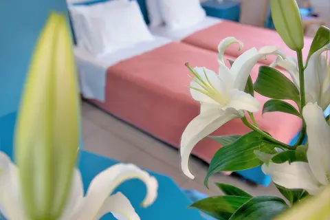 Scala Boutique Hotel & Suites in Δημοτική Ενότητα Γαζίου — foto 8