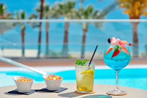 Hotel Ocean House Costa del Sol Affiliated by Meliá in Torremolinos — foto 25