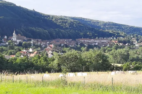 Camping Les Vosges Du Nord foto 16