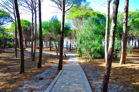 Selema Camping foto 3