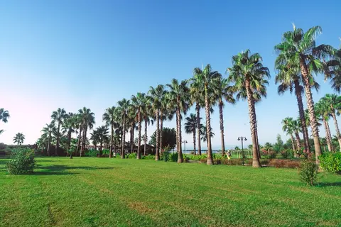 Royal Atlantis Beach in Manavgat — foto 24