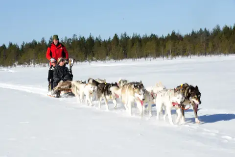 Ontdek het winteravontuur vanuit Lillehammer in Lillehammer — foto 6