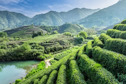 Rondreis Klassiek China in Rondreizen — foto 16