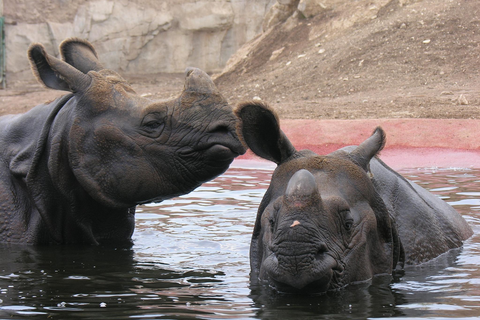 Hotel Magic Natura foto 20