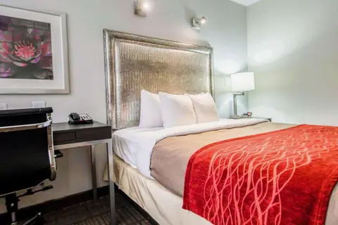 Comfort Inn Manhattan - Midtown West in New York, foto 7