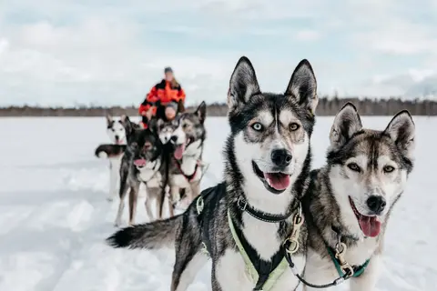 5-daags Winteravontuur Santa Claus in Fins Lapland, foto 2