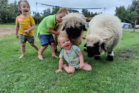 Camping De Toffe Peer foto 1