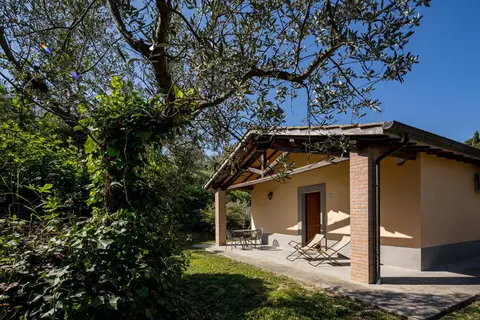Il Poggio degli Olivi in Bettona — foto 8