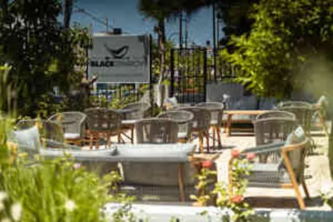 Malia Holidays Hotel in Δημοτική Ενότητα Μαλίων — foto 18