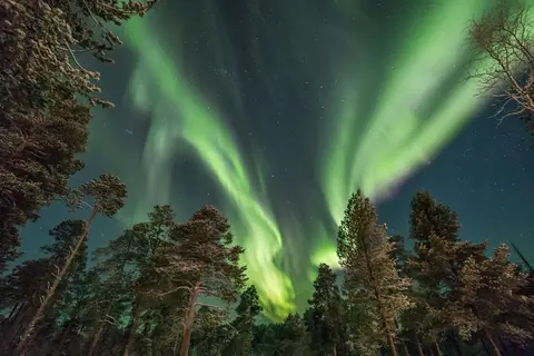 4 daagse excursiereis Muotka Wilderness Week in Inari