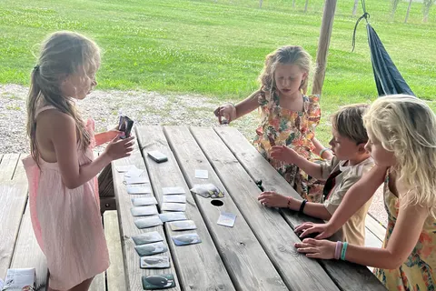 Agriturismo Tenuta Regina foto 3