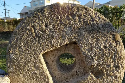 Ever Green in Δημοτική Ενότητα Λευκιμμαίων — foto 14