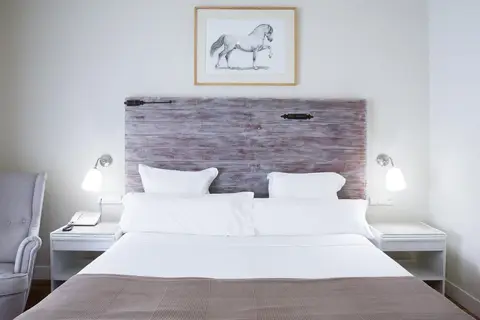 Hotel Jerez & Spa in Jerez De La Frontera — foto 30