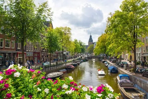 Hotel de Hallen foto 34