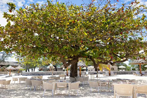 Bawe Island Resort in Zanzibar City, foto 29