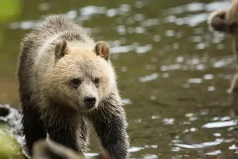 2 weeks in Western Canada foto 7