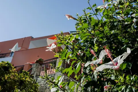 Alkion in Ίμερος — foto 17