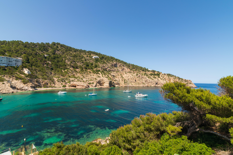 Palladium Hotel Cala Llonga - adults only foto 2