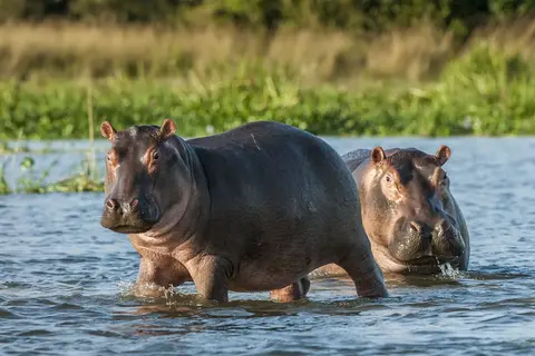 Zuid-Afrika in stijl in Complete rondreis Zuid-Afrika — foto 9