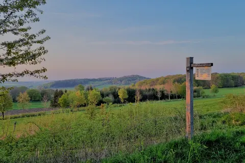 Camping Brilon foto 9