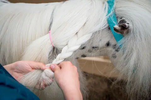 Familie Resort Molenwaard foto 22