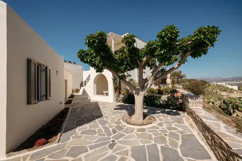 Proteas Hotel & Suites in Νάξος — foto 17