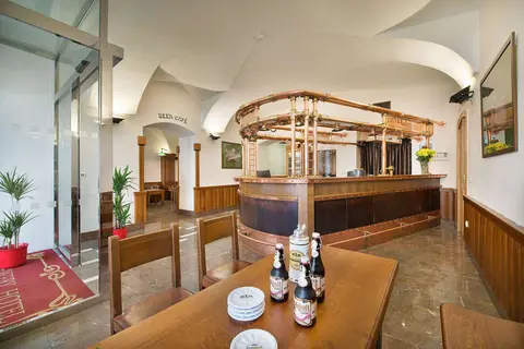 Hotel U Medvidku in Praag, foto 7