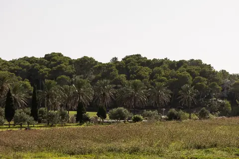 Llucatx Menorca in Het Mercadal — foto 28