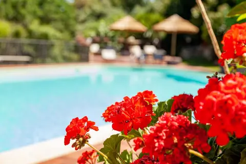 Hotel San Trano in Luogosanto — foto 28