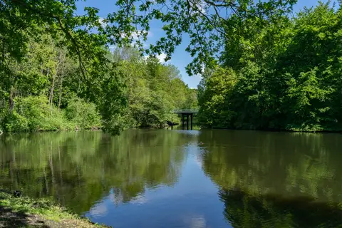 EuroParcs Het Amsterdamse Bos in Amstelveen — foto 8