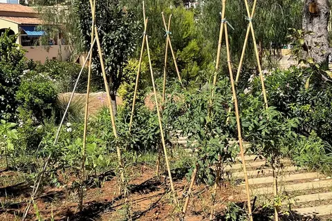 Serawa Moraira in Teulada — foto 27