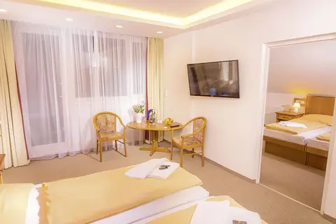 Wellness Hotel Astra in Elsene, foto 4