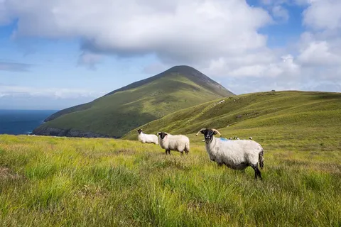 8 daagse fly drive Hello Ireland foto 5