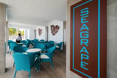 Hotel Riu Ocho Rios in Ocho Rios — foto 4